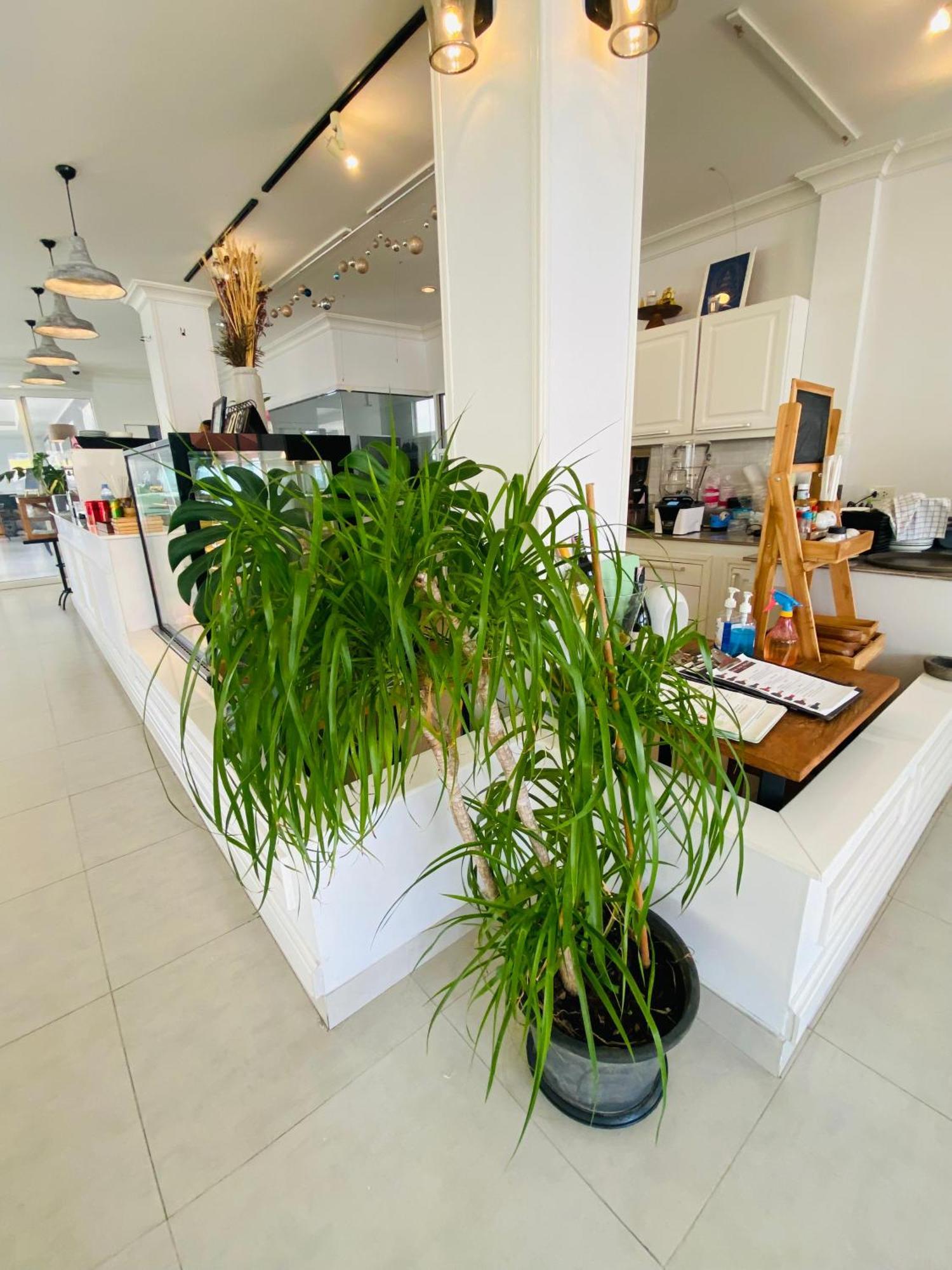 Forget Me Not Boutique Bed & Breakfast หัวหิน ภายนอก รูปภาพ